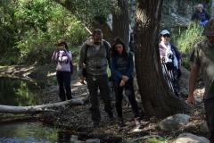 23000126_10155273212934164_5957488736056206623_o