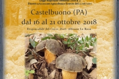 Locandina 2018