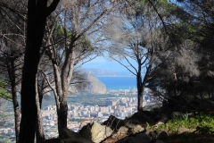 22366271_10214838433902289_2458329999530593922_n